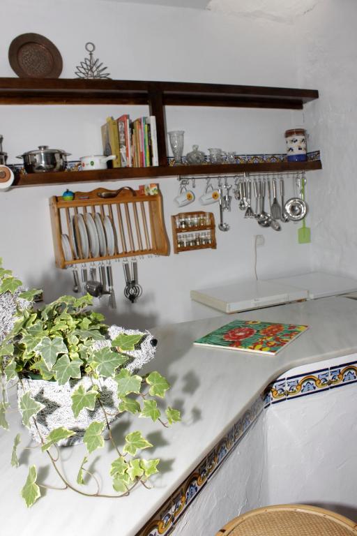 Villas Los Olivares - Deniasol Els Poblets Room photo
